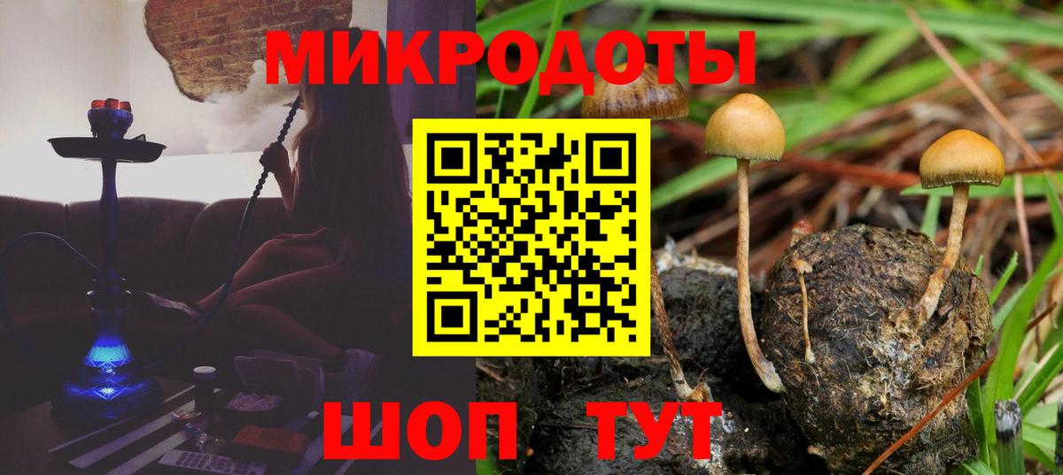 Псилоцибиновые грибы ЛСД Балахна